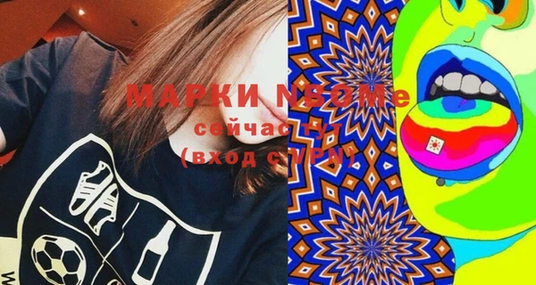 индика Бронницы