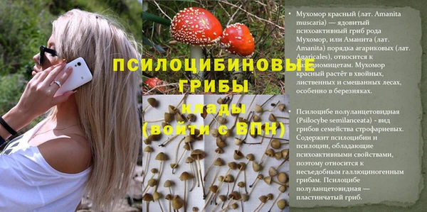 индика Бронницы