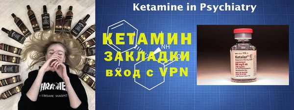 индика Бронницы