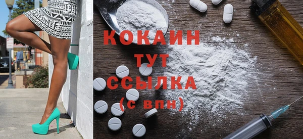 соль ск Бородино