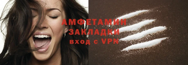 индика Бронницы