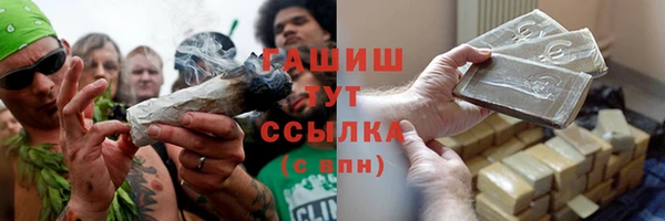 индика Бронницы