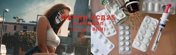 индика Бронницы