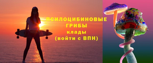 соль ск Бородино