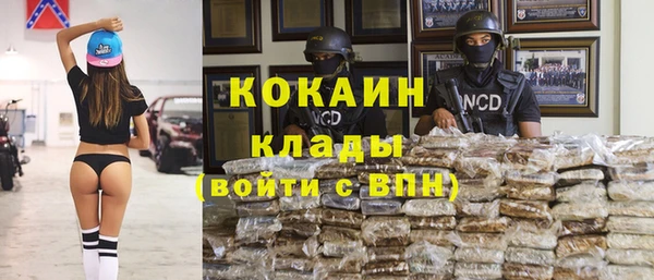 индика Бронницы