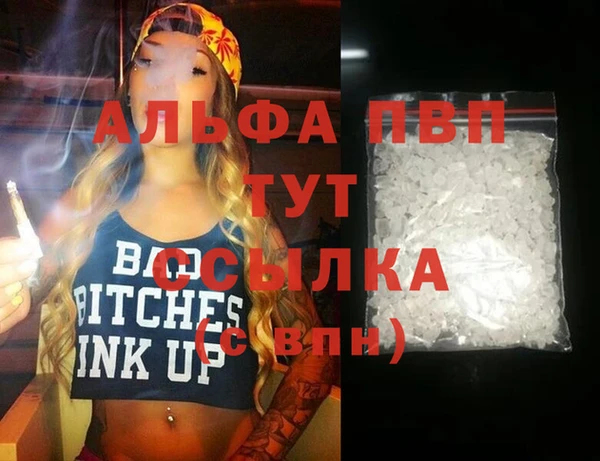 соль ск Бородино