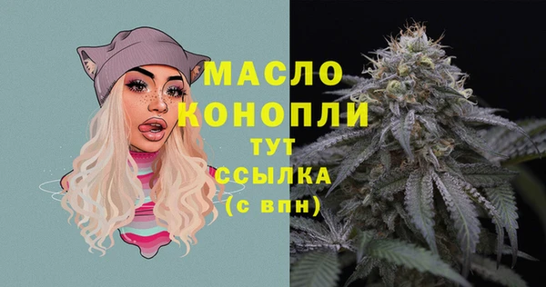 индика Бронницы