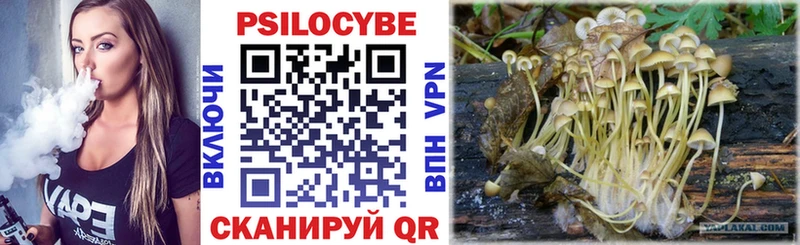 Галлюциногенные грибы Psilocybine cubensis  где продают   Курск 